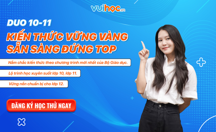 Lý thuyết và các dạng bài tập hàm số bậc nhất lớp 10