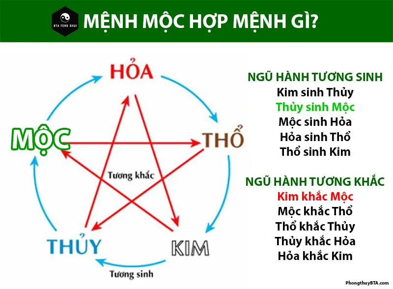 Mệnh Mộc là gì? Người mệnh Mộc hợp màu gì? Sinh năm nào?