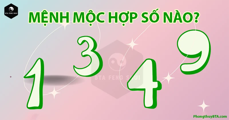 Mệnh Mộc là gì? Người mệnh Mộc hợp màu gì? Sinh năm nào?