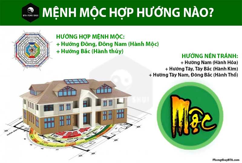 Mệnh Mộc là gì? Người mệnh Mộc hợp màu gì? Sinh năm nào?