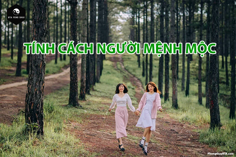 Mệnh Mộc là gì? Người mệnh Mộc hợp màu gì? Sinh năm nào?