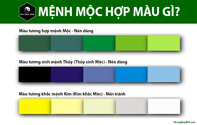 Mệnh Mộc là gì? Người mệnh Mộc hợp màu gì? Sinh năm nào?