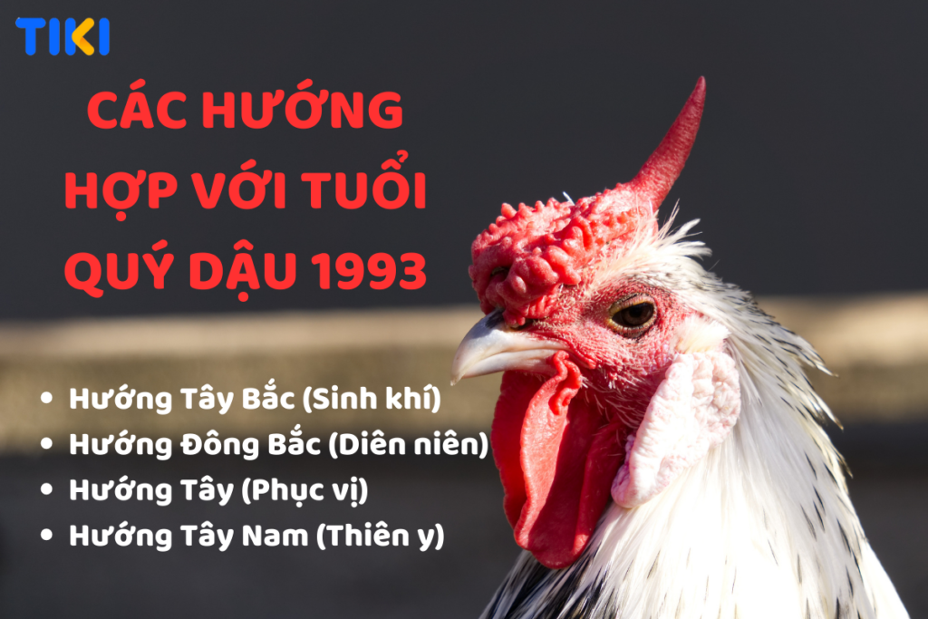 Tuổi 1993 mệnh gì? Màu sắc phong thủy và sự hòa hợp với các cung