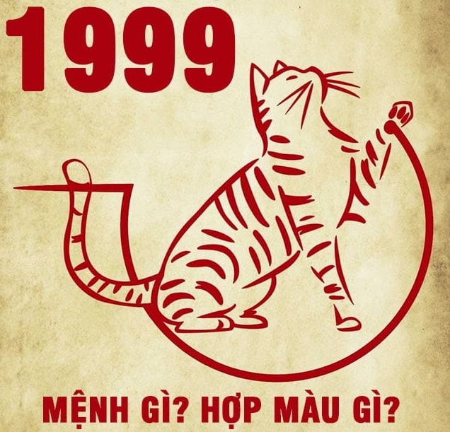 Giải Mã Người Sinh Năm 1999 Mệnh Gì? Lựa Chọn Nghề Nghiệp và Con Đường Phát Triển Sự Nghiệp