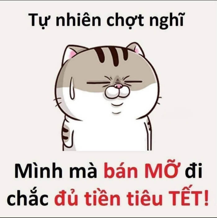 Bộ ảnh Tết gia đình sum vầy ý nghĩa