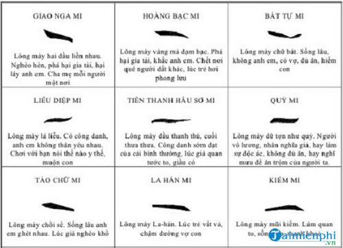 Khám phá tướng lông mày: Đàn ông, phụ nữ