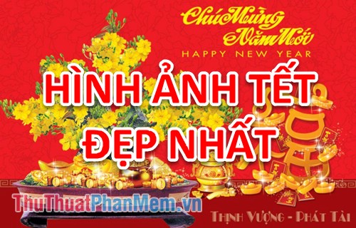 Bộ sưu tập ảnh Tết - Nét đẹp tuyệt vời nhất