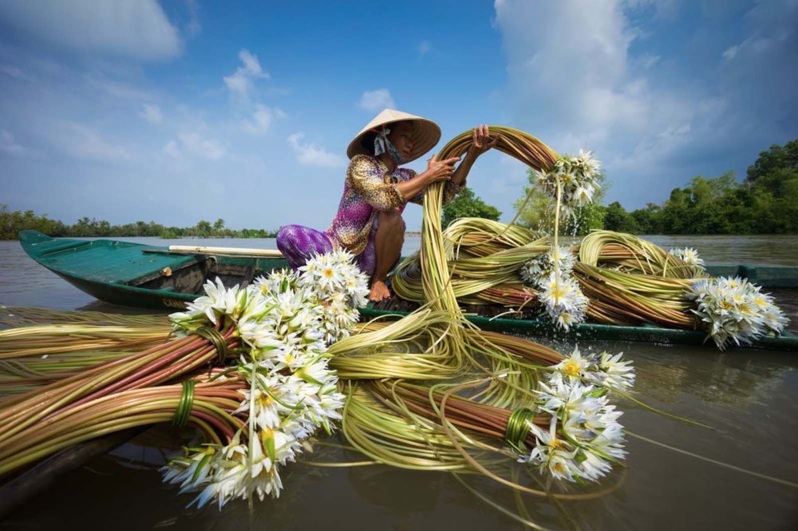 Khám phá hơn 50 bức ảnh đẹp ngạc nhiên về cảnh đẹp Việt Nam