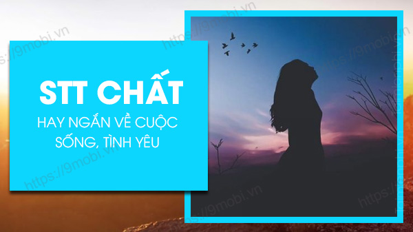 Tổng hợp những Status chất, Cap ngầu ngắn về cuộc sống, xã hội khi đăng ảnh