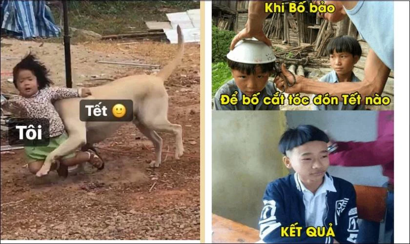 Sưu tầm 50+ mẫu meme Tết độc đáo cho Tết 2024