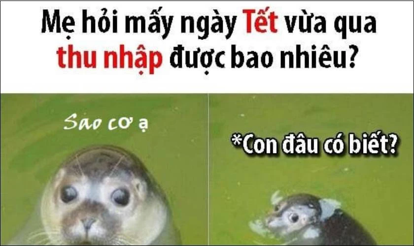 Sưu tầm 50+ mẫu meme Tết độc đáo cho Tết 2024