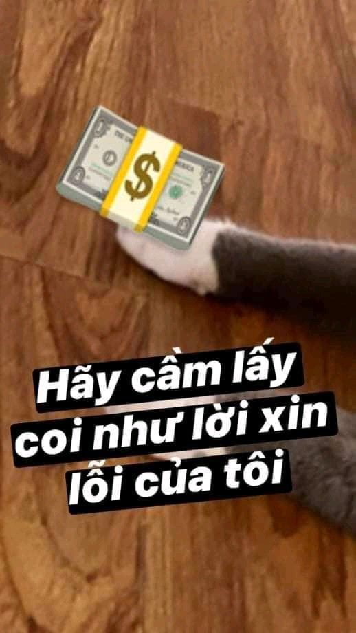 Khám phá thế giới hài hước của tiền qua những hình ảnh meme độc đáo