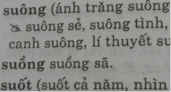 Từ điển chính tả... sai chính tả