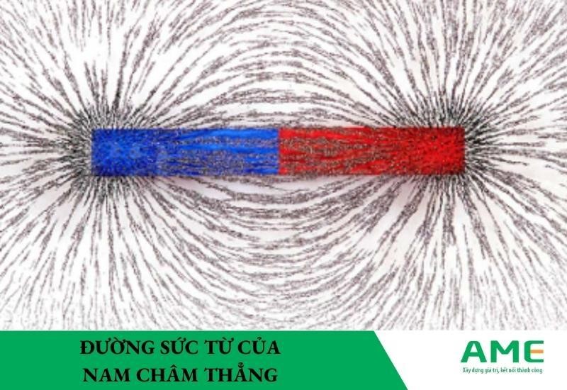 Từ trường là gì? Kiến thức ĐẦY ĐỦ và khái niệm đường sức từ