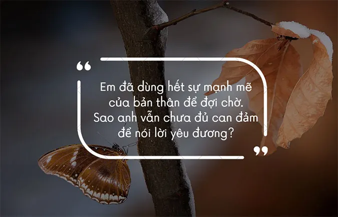 221 cap thả thính sang chảnh, status thả thính hay