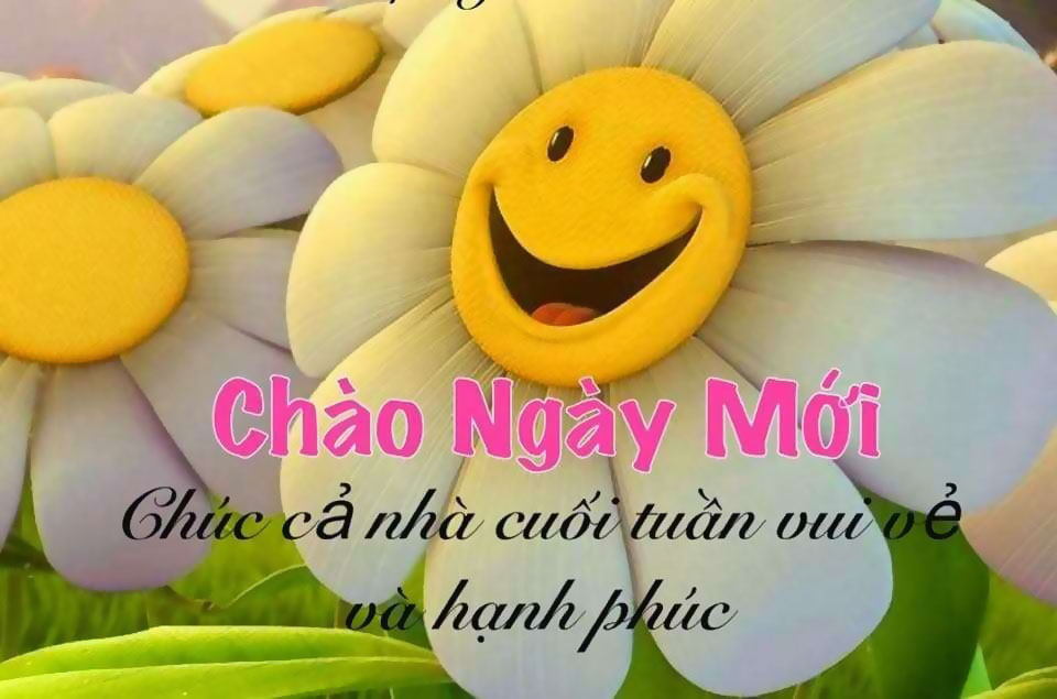 Hình ảnh đẹp của hoa chào buổi sáng mới