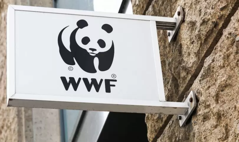 WWF là gì? Mục đích hoạt động Quỹ Quốc tế bảo vệ thiên nhiên