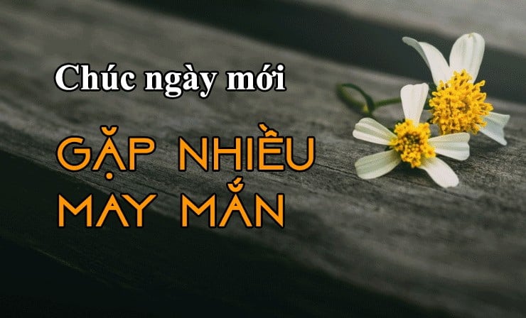 Ảnh chúc ngày mới tốt lành và đẹp mắt