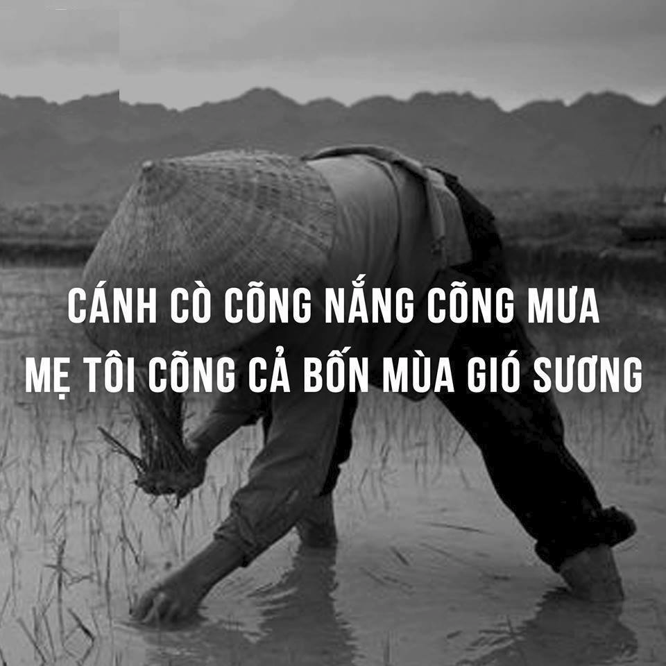 Những hình ảnh tuyệt vời về tình mẹ