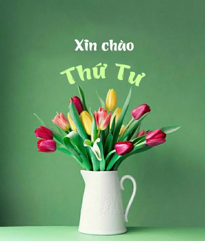 45 lời chúc thứ 4 tốt lành, chào ngày mới thứ tư vui vẻ hạnh phúc