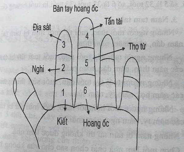 Xem tử vi tuổi Tân Hợi 1971 - Nam mạng năm 2024 CHI TIẾT NHẤT