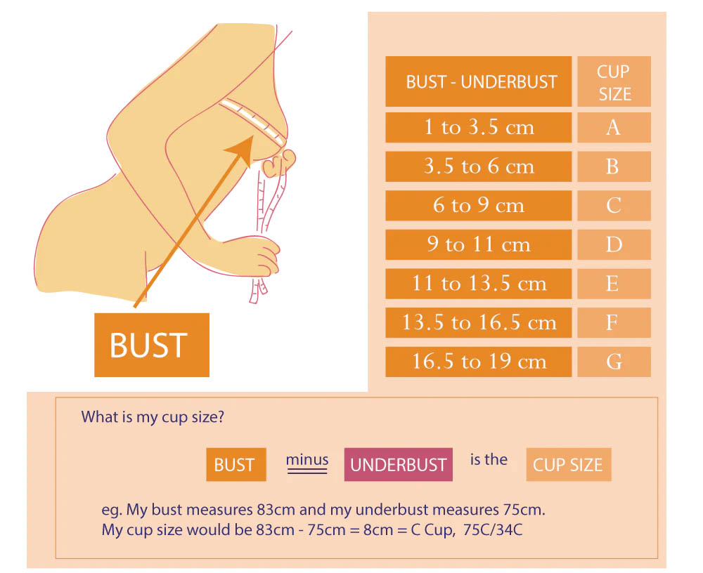 Bust là số đo gì? Các khái niệm khác về bust bạn nên biết