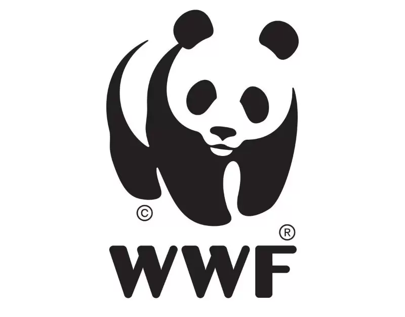 WWF là gì? Mục đích hoạt động Quỹ Quốc tế bảo vệ thiên nhiên