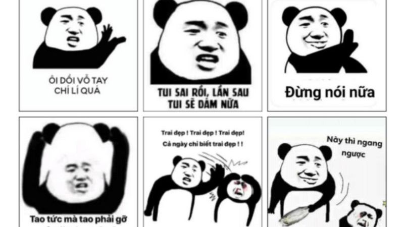 Bộ sưu tập ảnh meme dễ thương, hài hước, và vui nhộn