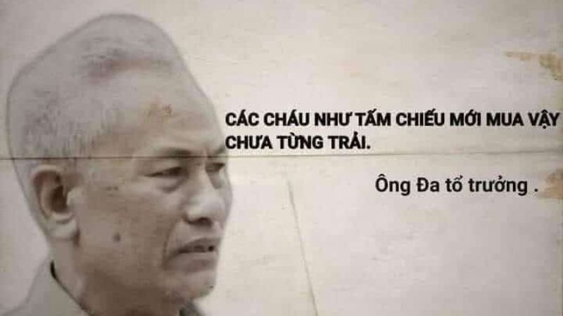 Bộ sưu tập ảnh meme dễ thương, hài hước, và vui nhộn