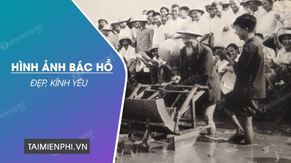 40+ Hình ảnh bác Hồ đẹp, kính yêu và giản dị nhất