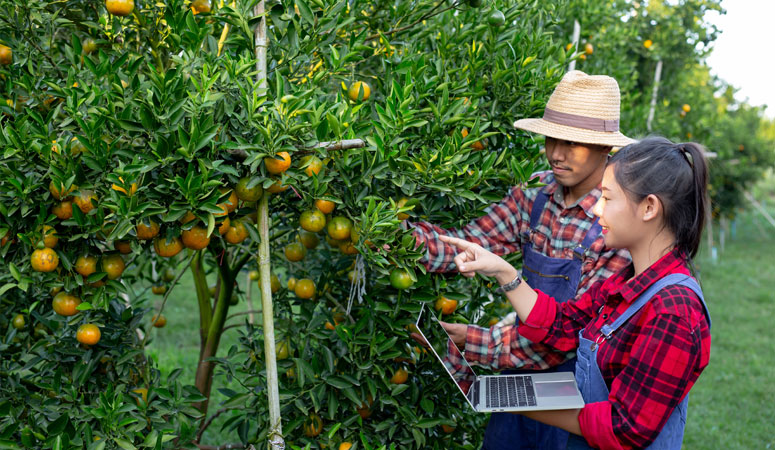 Kinh nghiệm trong giải quyết vấn đề việc làm ở nông thôn của một số quốc gia