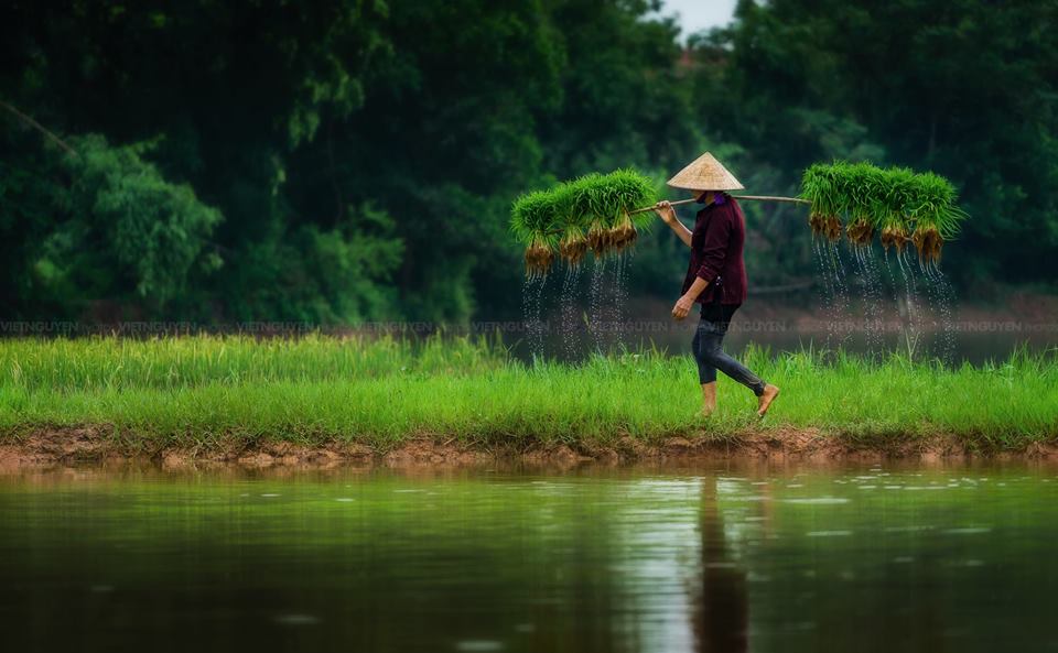 +100 Hình ảnh về mẹ đẹp, ý nghĩa và xúc động nhất