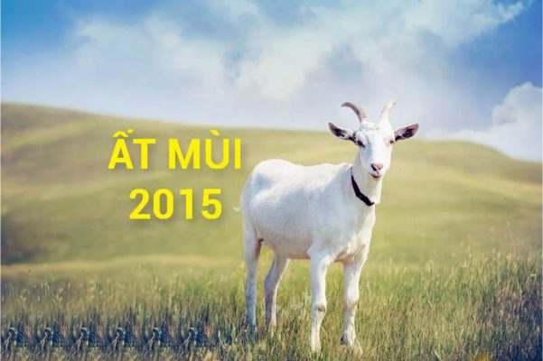 2015 mệnh gì hợp màu gì? Tử vi Ất Mùi