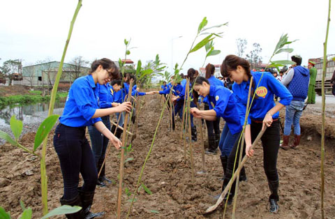 Đồng bằng sông Hồng chủ động giải pháp thích ứng biến đổi khí hậu