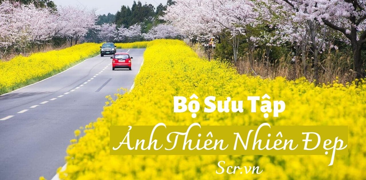 Hình Ảnh Đẹp Trên Mạng [201+ Ảnh Mạng Cute Nhất 2024]