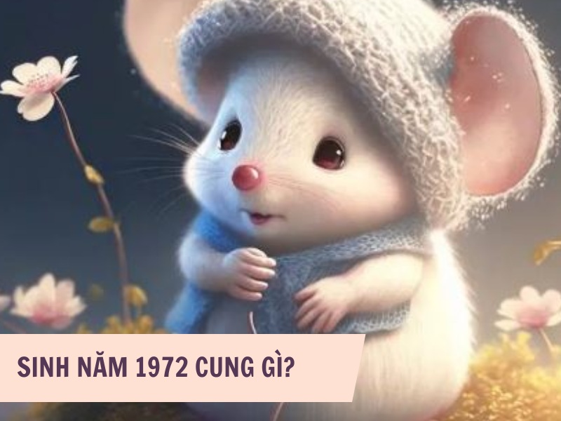 Tuổi Nhâm Tý 1972 Mệnh Gì? Hợp Với Tuổi Gì, Hợp Màu Gì?