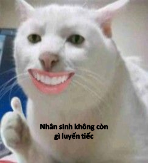 99+ Ảnh meme bất lực đến phát khóc cực sáng tạo