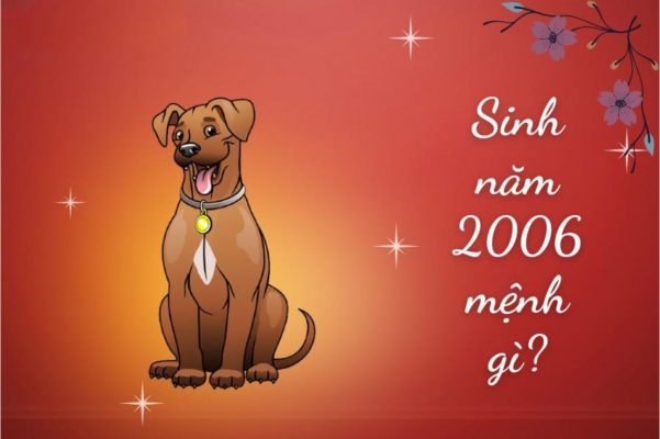 2006 mệnh gì hợp màu gì? Tử vi bính tuất