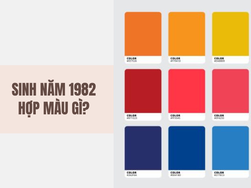 Tuổi Nhâm Tuất 1982 Mệnh Gì? Hợp Với Tuổi Gì, Hợp Màu Gì?