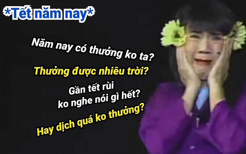 Meme Tết hài hước, thú vị cho năm mới nhiều niềm vui