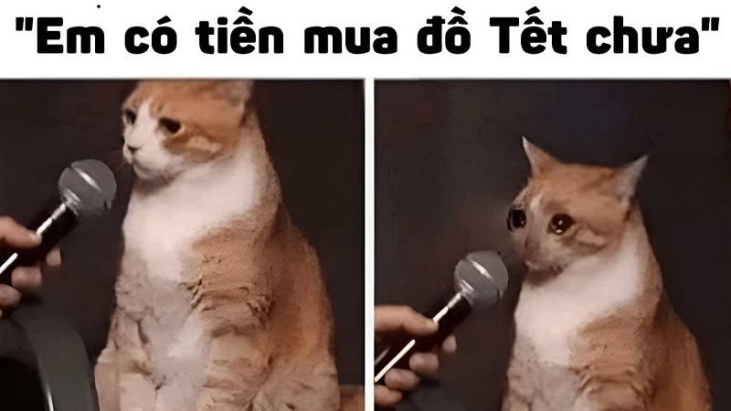 Meme Tết hài hước, thú vị cho năm mới nhiều niềm vui