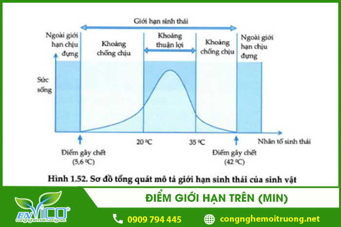 Giới hạn sinh thái là gì? 4 thành phần chính của giới hạn sinh thái