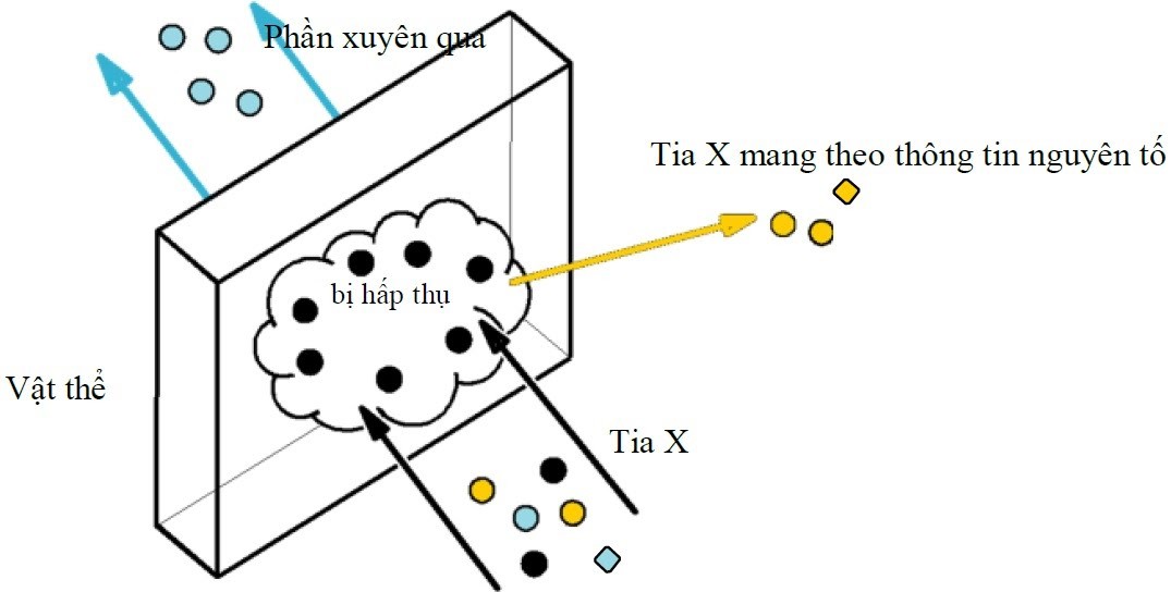 Máy quang phổ là gì? Hướng dẫn chi tiết cách sử dụng máy quang phổ