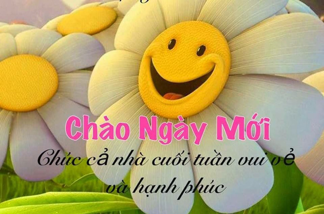 [101] Lời chúc cuối tuần vui vẻ, hài hước cho người yêu, bạn bè