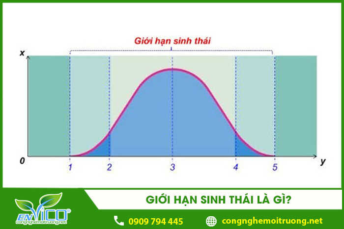 Giới hạn sinh thái là gì? 4 thành phần chính của giới hạn sinh thái