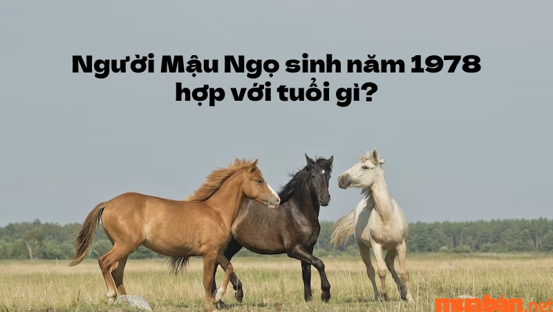 Tuổi Mậu Ngọ sinh năm 1978 mệnh gì? Hợp và kỵ màu gì? Hợp hướng nào?