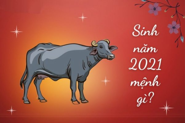 Sinh năm 2021 mệnh gì hợp màu gì? Tử vi Tân Sửu