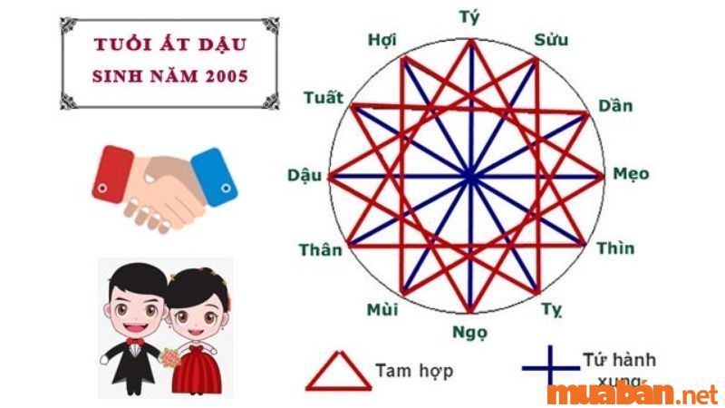 2005 mệnh gì? Ất Dậu hợp tuổi gì, màu gì và hướng nào?