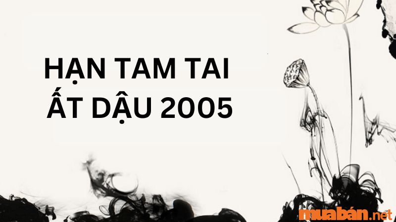 2005 mệnh gì? Ất Dậu hợp tuổi gì, màu gì và hướng nào?