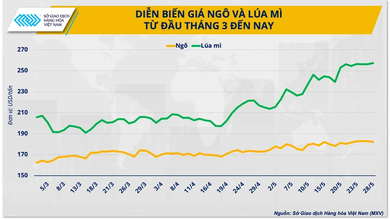 Ba giải pháp cho ngành chăn nuôi vững đà tăng trưởng năm 2024